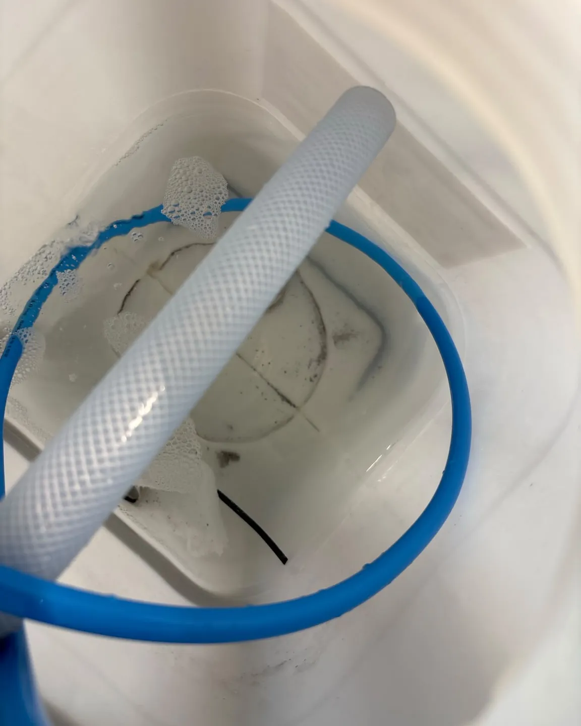 Gewebeschlauch und blauer Schlauch in einem weißen Behälter mit Spülwasser