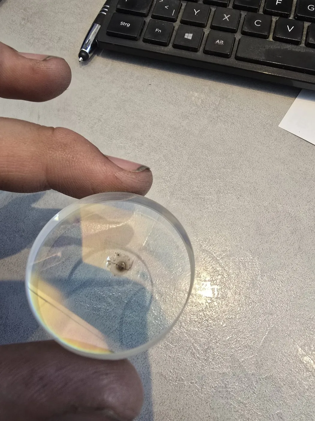 Rundes Schutzglas in der Hand, mit deutlichem Einbrand